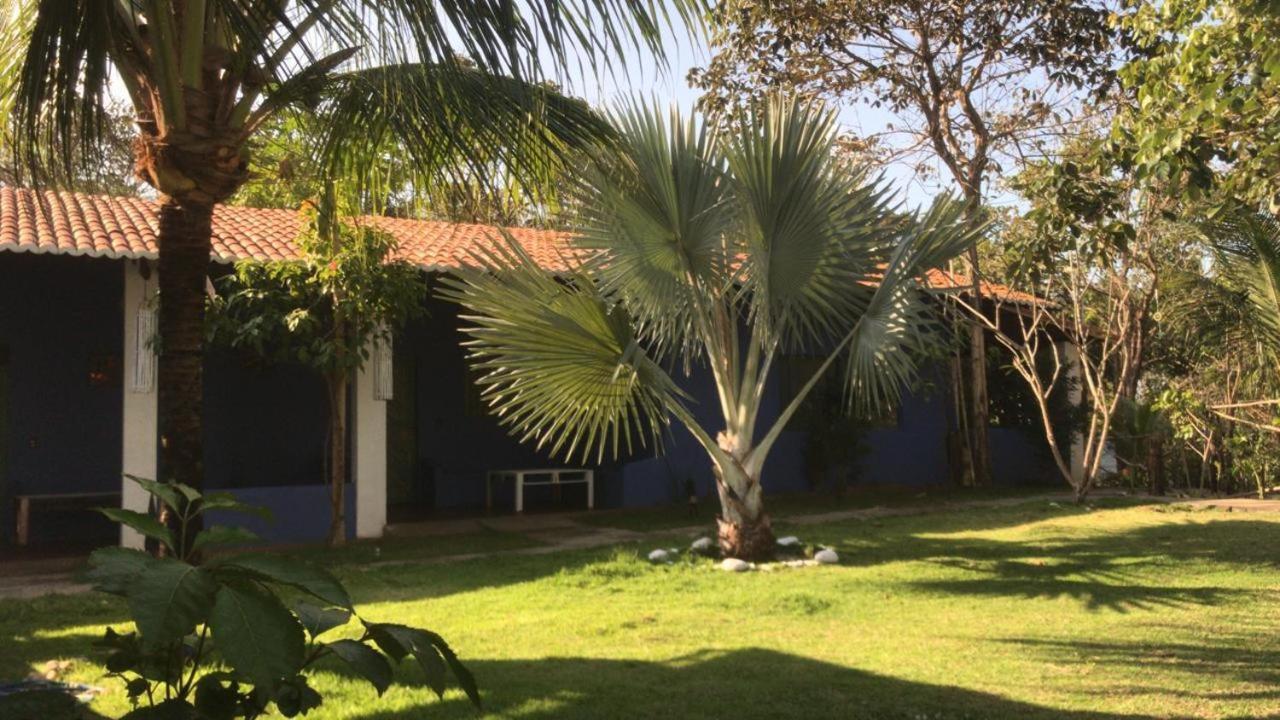 Pousada Flor Da Pipa Tibaú do Sul Eksteriør billede